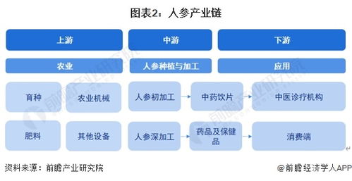 2024年中國(guó)人參行業(yè)全景圖譜 市場(chǎng)現(xiàn)狀、競(jìng)爭(zhēng)格局與AI賦能的開發(fā)趨勢(shì)